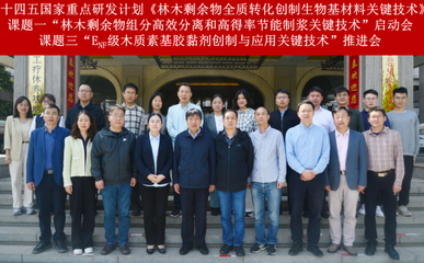 林木剩余物全質(zhì)轉(zhuǎn)化創(chuàng)制生物基材料關(guān)鍵技術(shù)研發(fā)項目啟動，助力綠色低碳產(chǎn)業(yè)鏈升級