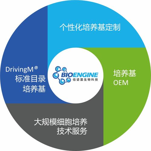 三十年匠心打造細(xì)胞培養(yǎng)新動(dòng)力 寫意會(huì)員倍諳基生物的生物基材料技術(shù)研發(fā)